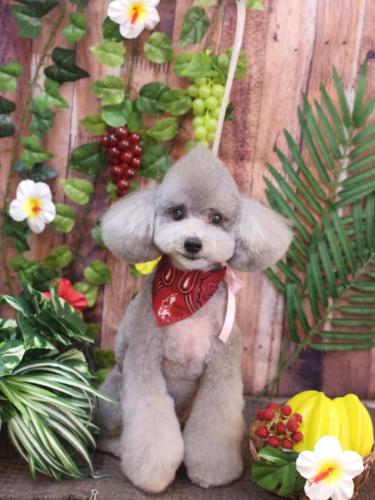 20230801宇宙くん